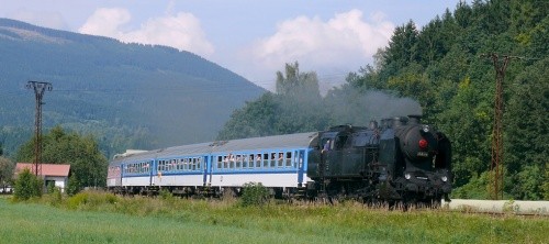 mlade-buky___464-008___os-15741___9.9.2012